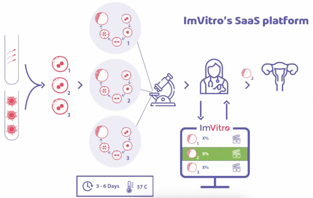 L'intelligence artificielle pour la fécondation in-vitro