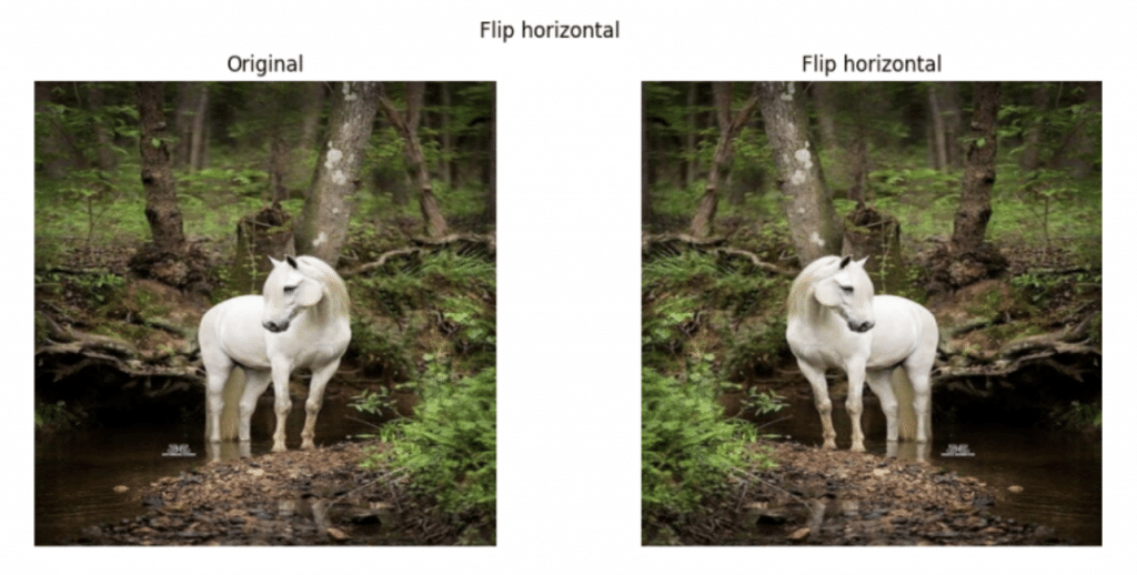 Fig 1: Illustration de l’augmentation par rotation (flip) horizontal